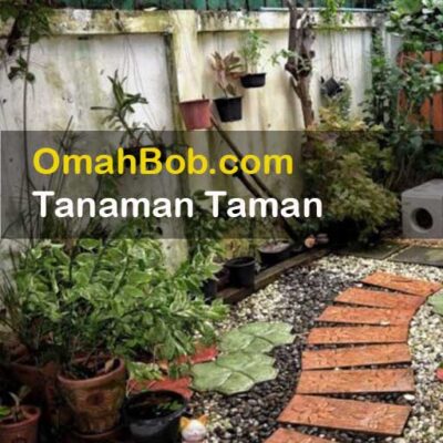Tanaman Taman OmahBob