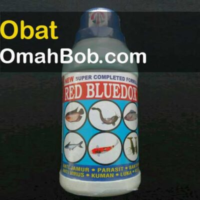 Obat OmahBob.com
